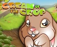 online-slots-games-cream-of-the-crop